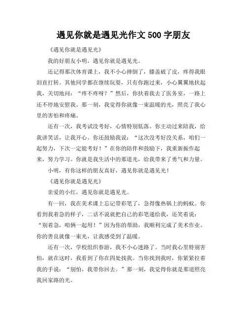 遇见你就是遇见光作文500字朋友