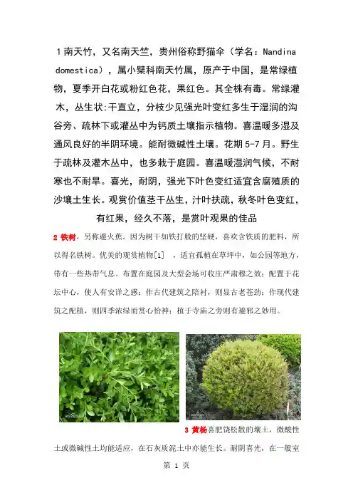 河南本地常见园林植物共17页word资料