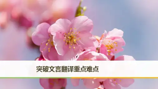高考语文突破文言翻译重点难点