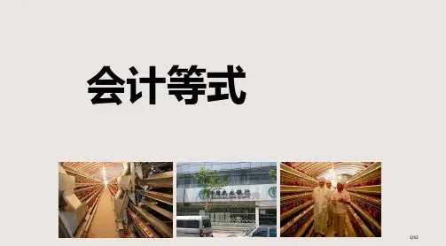 会计等式会计基础观摩课说课课件省公开课金奖全国赛课一等奖微课获奖课件