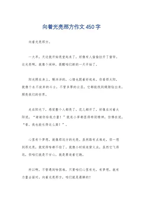 向着光亮那方作文450字