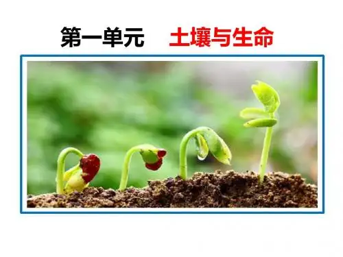 土壤的保护(优秀课件)