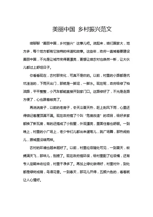 美丽中国 乡村振兴范文