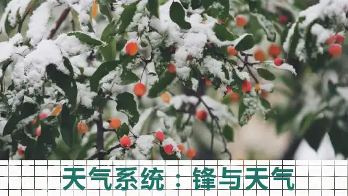 33天气系统锋与天气课件高中地理选择性必修一