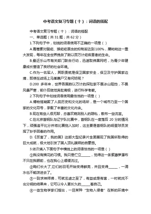 中考语文复习专题（十）：词语的搭配