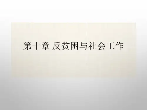 第二十章-反贫困社会工作