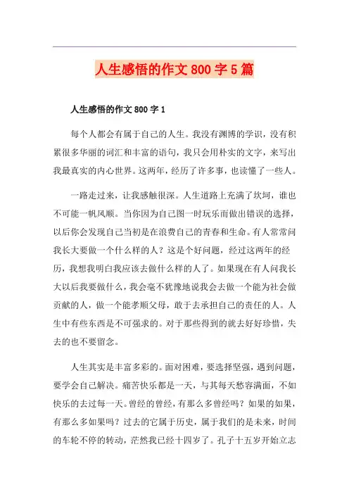 人生感悟的作文800字5篇