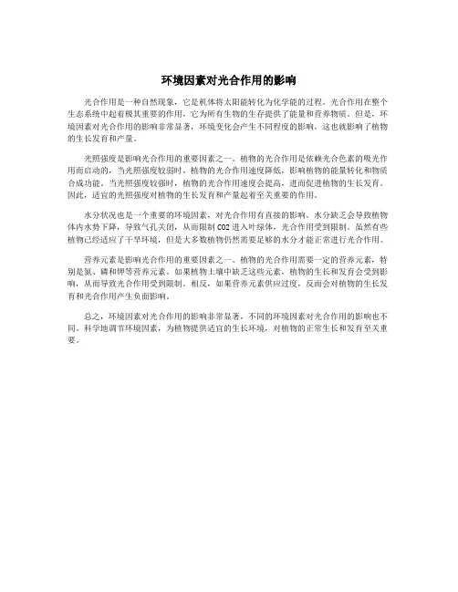 环境因素对光合作用的影响