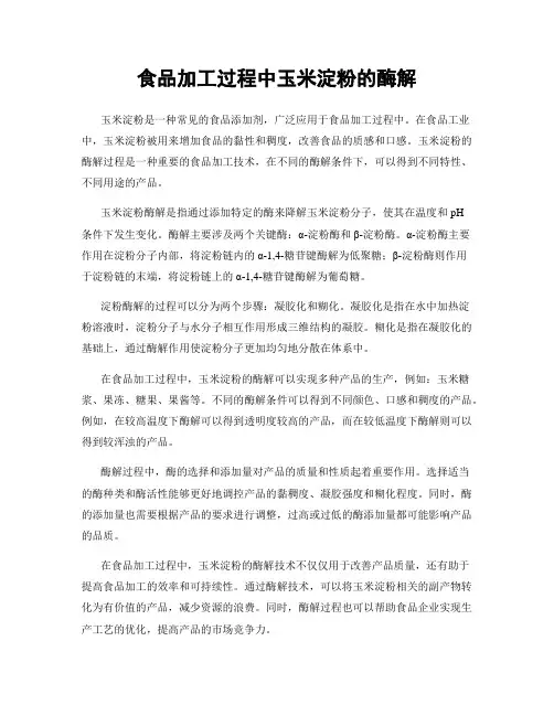 食品加工过程中玉米淀粉的酶解