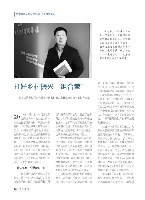 打好乡村振兴“组合拳”——记瓦房店市阎店乡党委第一副书记兼大