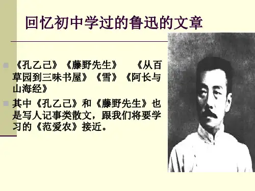 上课用《范爱农》ppt课件(修改)