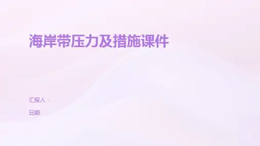 海岸带压力及措施课件