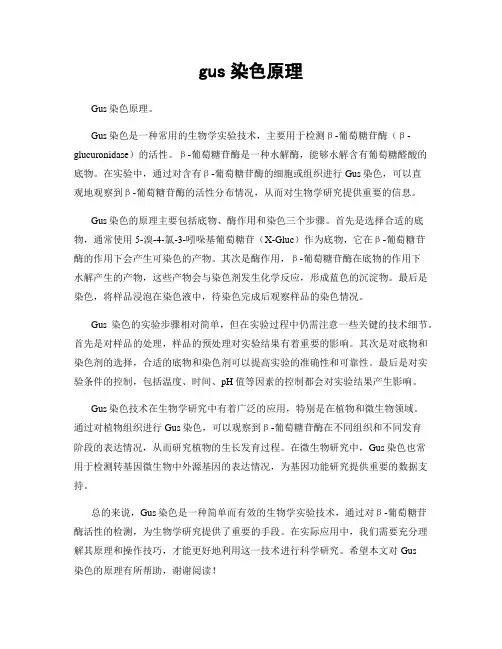 gus染色原理