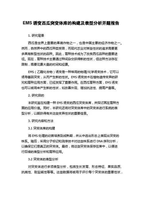 EMS诱变西瓜突变体库的构建及表型分析开题报告