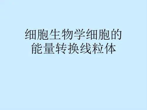 细胞生物学细胞的能量转换线粒体