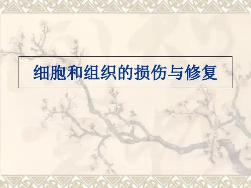 3细胞和组织的损伤与修复