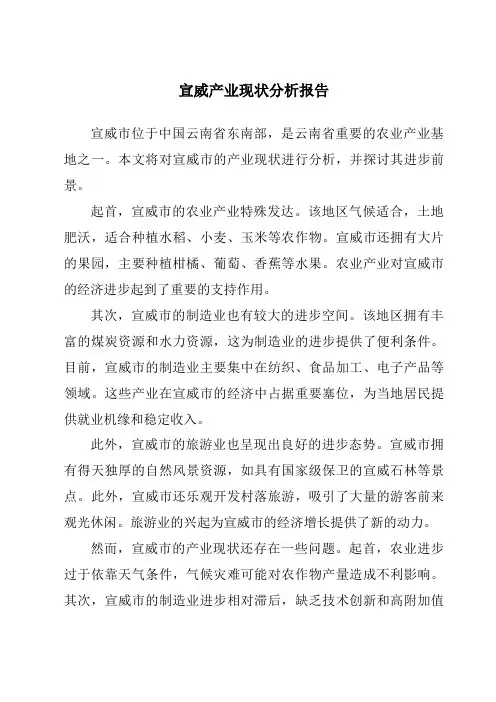 宣威产业现状分析报告