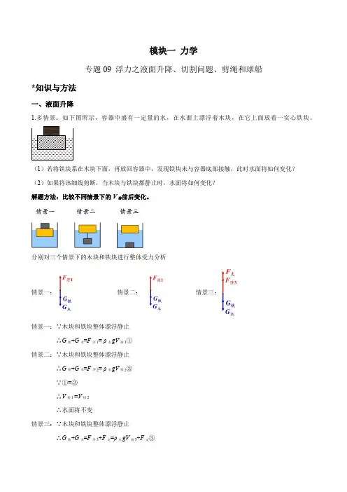 专题09 浮力之液面升降、切割问题、剪绳和球船(解析版)