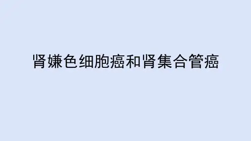 肾嫌色细胞癌和集合管癌影像