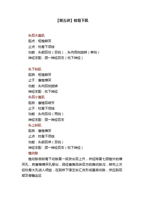 【第五讲】枕骨下肌