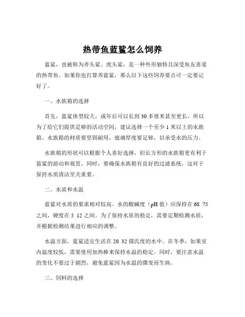 热带鱼蓝鲨怎么饲养
