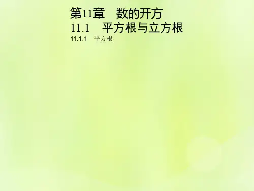 2018秋八年级数学上册-第11章 数的开方 11.1 平方根与立方根 11.1.1 平方根习题课件 (新版)华东师大版