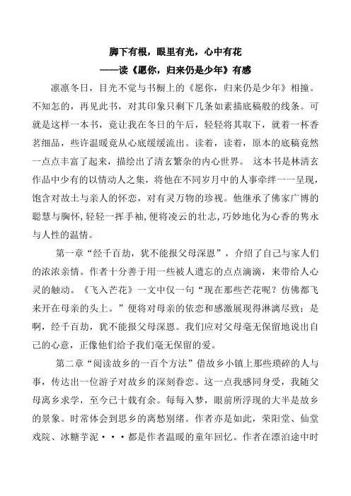 脚下有根,眼里有光,心中有花 ——读《愿你,归来仍是少年》有感