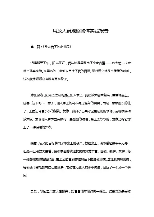 用放大镜观察物体实验报告