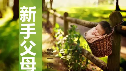 新手父母第一课  PPT模板