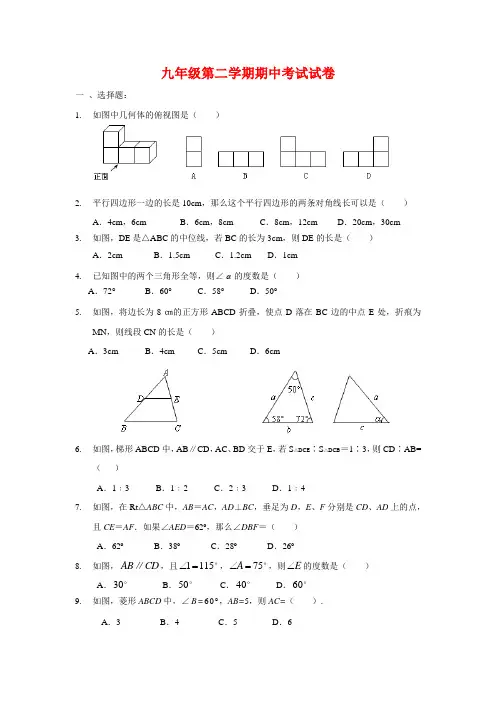 北师大版九年级数学下册中考综合模拟试卷含答案