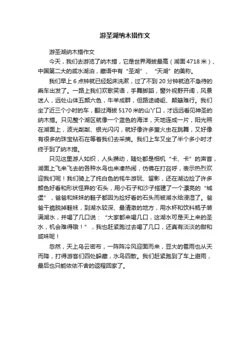 游圣湖纳木措作文