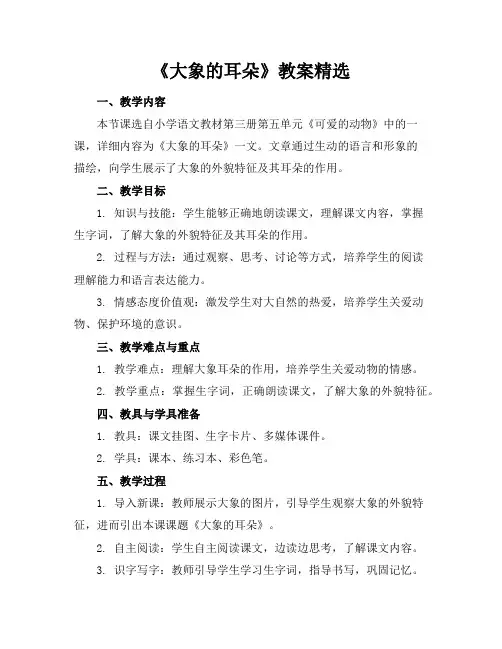 《大象的耳朵》教案精选