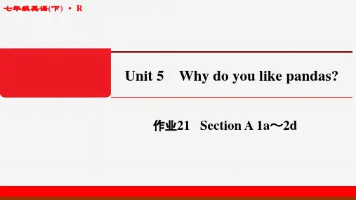 人教版七年级英语下Unit 5-作业21