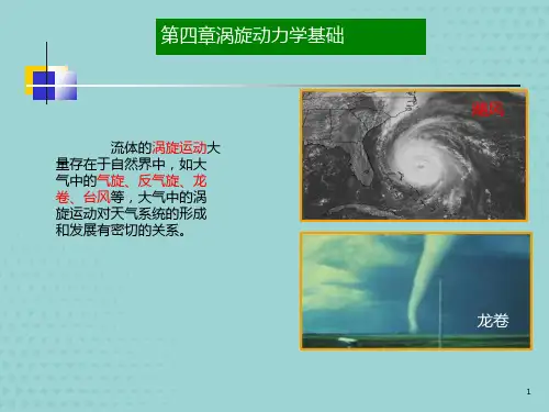流体力学第4章(涡旋动力学基础)PPT文档