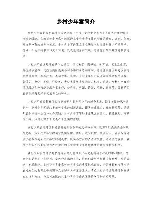 乡村少年宫简介