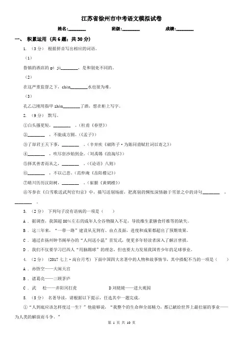 江苏省徐州市中考语文模拟试卷