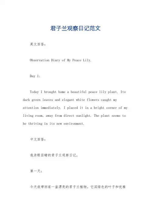 君子兰观察日记范文