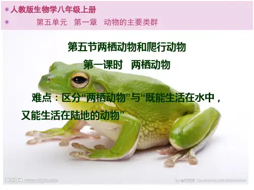 初中八年级上册生物《两栖动物》课件