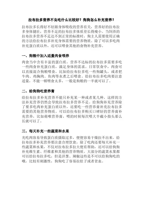 拉布拉多营养不良吃什么比较好？狗狗怎么补充营养？