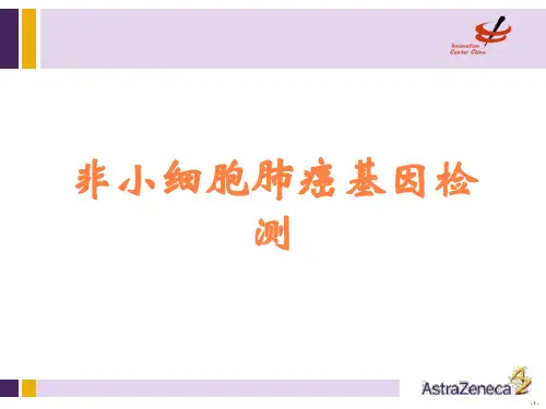 非小细胞肺癌基因检测