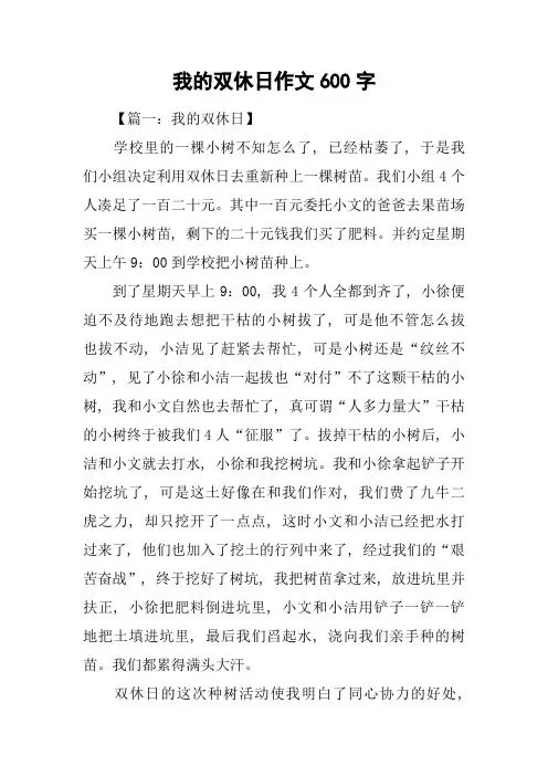 我的双休日作文600字
