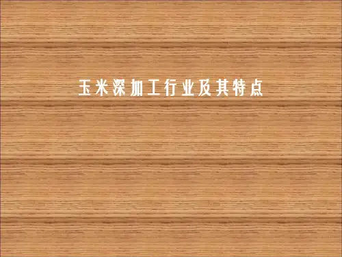 玉米深加工