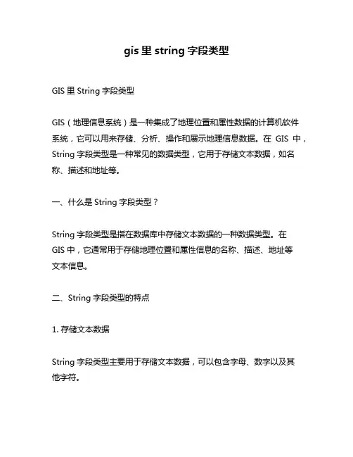 gis里string字段类型