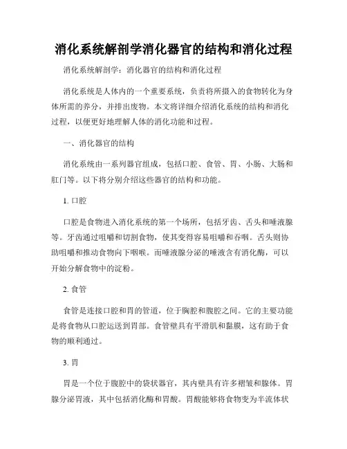 消化系统解剖学消化器官的结构和消化过程