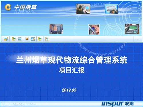 项目总体进展情况汇报ppt模板