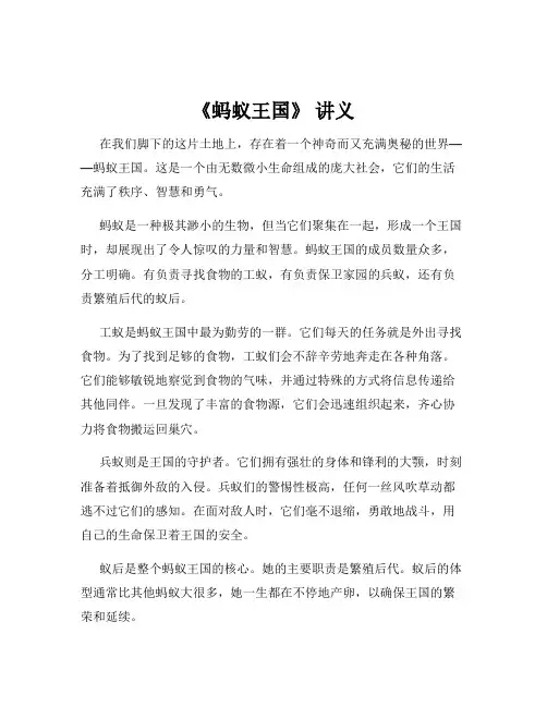 《蚂蚁王国》 讲义