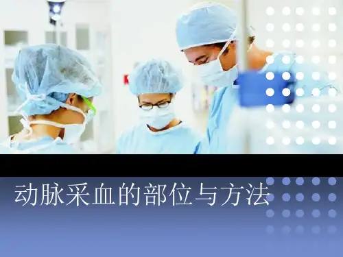 动脉采血的部位与方法ppt课件