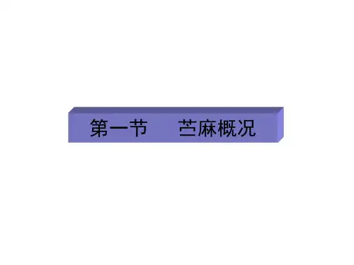 苎麻栽培概述