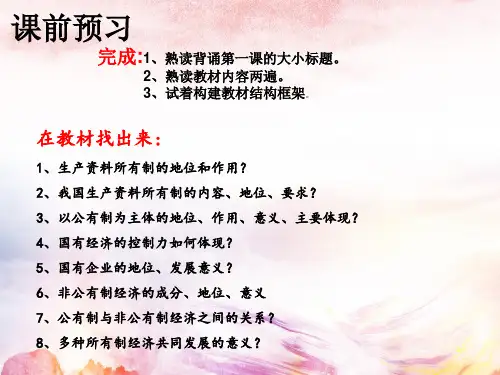 高中政治统编版必修二1.1公有制为主体,多种所有制经济共同发展(共22张ppt)