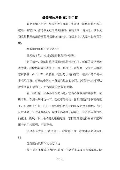 最美丽的风景450字7篇